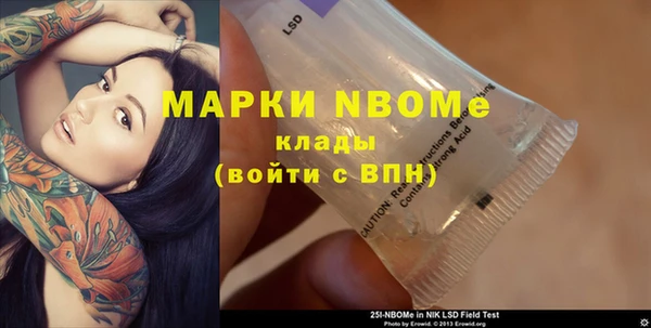 стафф Алзамай