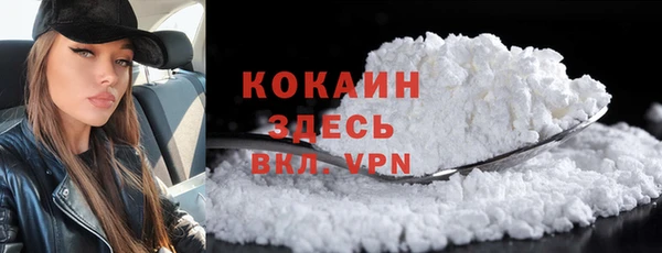 соль ск Алексин