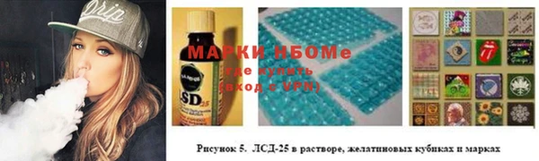 соль ск Алексин