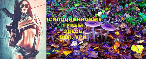 гашик Алексеевка