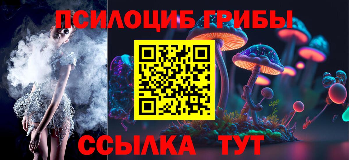 Псилоцибиновые грибы Cubensis  Вход с VPN  Кондопога 