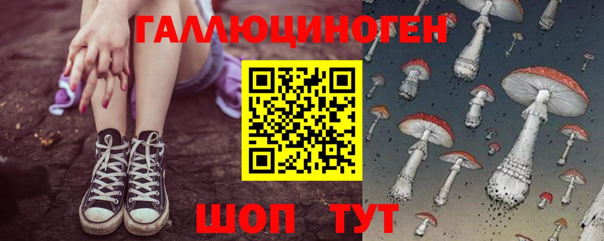 Псилоцибиновые грибы ЛСД Кондопога